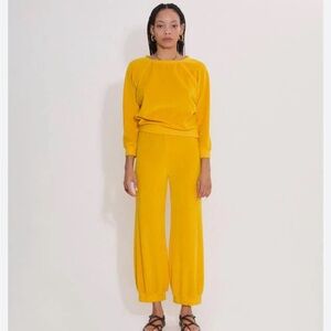 Suzi Kondi Saba Raglan Velour Top in Oro Never Worn